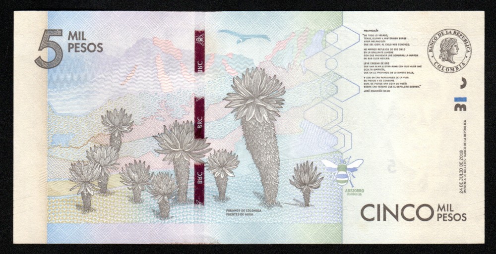 5000 pesos Radar 2018